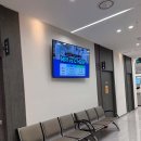 서울조인스정형외과의원 티스토리