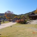 새마을로2길-9 이미지