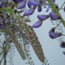 정읍휴게소(하) 이미지