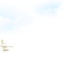 자등 4리 이미지