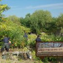 아름다운 이미지