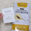 네이처커넥트 먼지다듬이 트랩 좀벌레 살충제 퇴치 박멸 후기