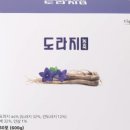 종일농축