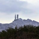 스테이포레스트 이미지