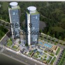 셀럽하우스 이미지