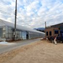 미대농원 이미지