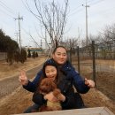 하성근린공원 네이버블로그
