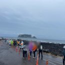 서귀포국제공인중개사사무소 이미지