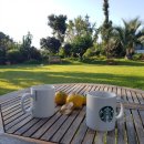 스테이비갠오후 이미지