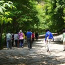 백제문화단지-부소산성-궁남지-정림사지-백제문화단지 이미지