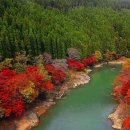 일본 아라시야마 가을풍경 이미지