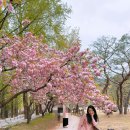 서울365소아청소년과의원 네이버블로그