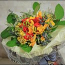 후리지아 이미지