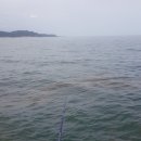 입암2리 티스토리