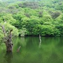 주산지 티스토리