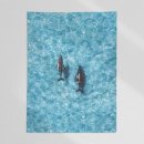 에덴커텐 이미지