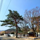 송천1리 마을회관 이미지