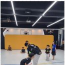 팀 에이스 태권도 이미지