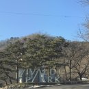 [소노펠리체빌리지] 스노위랜드,카라반 예약｜골드스위트그랜드 객실,라마티나 조식