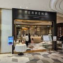 잠실 서반음식점 Terreno (떼레노) 런치 후기