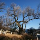 중앙동 온온사 옆 이미지