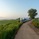 고무다리길 이미지