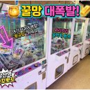 황금뽑기역 네이버블로그