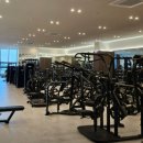 골든타임 핏 이미지