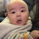 형아네민박 | 30개월,4개월 아기들과 또쿠오카