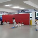 국가대표 영웅 태권도 이미지