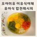 야채 | 이유식야채 유아식레시피 초간단 밥전 오아미유 볶음밥야채 후기
