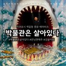 박물관은 살아있다 | 제주 실내데이트 추천 박물관은 살아있다 제주 + 런닝맨 제주점 + 감귤카트 후기 (가족·커플 필수코스)