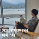 거제애견 | 거제 미피카페 애견동반 굿즈 몽돌구매, 오션뷰 후기
