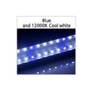 AJ 아쿠아 이미지