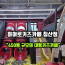 네트존