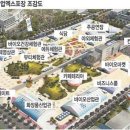 국제바이오