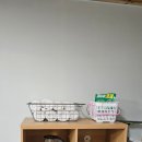 양양하조대마당넓은밤하늘별빛펜션 | 촌캉스로 힐링하는 양양애견동반펜션 양양하조대마당넓은밤하늘별빛펜션