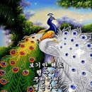 더만실 Daum카페
