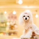 프리티멍 이미지