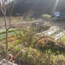 뉴전원공인중개사사무소 이미지