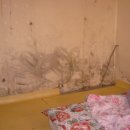 박애약국 이미지