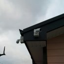 시온CCTV 이미지