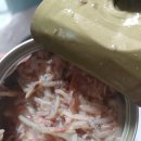 주식회사 그레이비 | [협찬후기]프린세스 고양이 캔