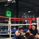 바운스복싱 이미지