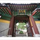 미타사 - 1539 | 미타사
