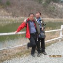 백마초등학교 이미지