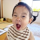 멍멍아 놀자 | 19개월 아기와 후쿠오카·유후인 2박 3일｜급하게 떠난 여행, 시작부터 료칸 예약 오류까지