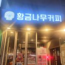 카페황금나무 이미지