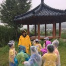 자연동산어린이집 이미지