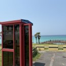 상모리-28 | 2025 제주도 자전거 종주 인증하기 : 인증센터 위치, 거리, 예상비용, 난이도, 최종후기